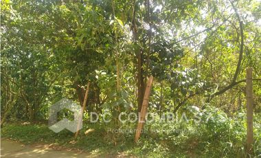 VENTA DE LOTE EN SABANETA - ANTIOQUIA