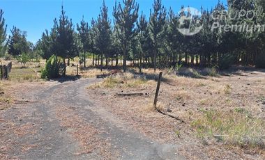 Agrícola en Venta en Camino a Santa Clara. Los Ángeles. Bio-Bio.