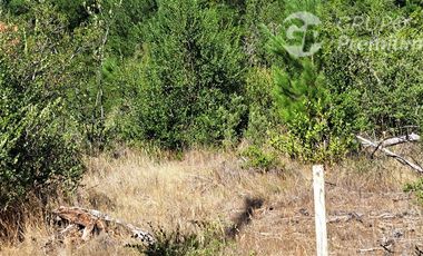 Agrícola en Venta en Camino a Santa Clara. Los Ángeles. Bio-Bio.