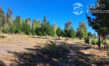 Agrícola en Venta en Camino a Santa Clara. Los Ángeles. Bio-Bio.