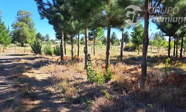 Agrícola en Venta en Camino a Santa Clara. Los Ángeles. Bio-Bio.