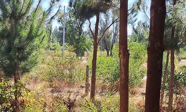 Agrícola en Venta en Camino a Santa Clara. Los Ángeles. Bio-Bio.