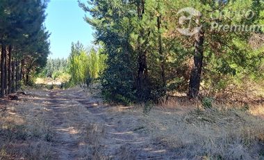 Agrícola en Venta en Camino a Santa Clara. Los Ángeles. Bio-Bio.