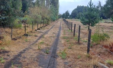Agrícola en Venta en Camino a Santa Clara. Los Ángeles. Bio-Bio.