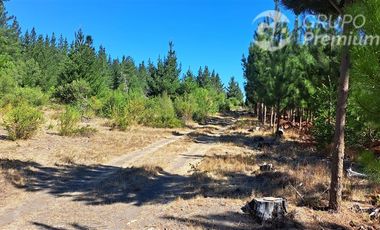 Agrícola en Venta en Camino a Santa Clara. Los Ángeles. Bio-Bio.