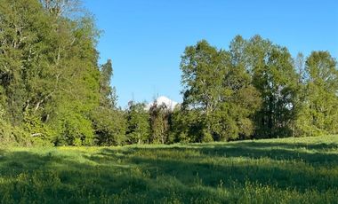Parcela en Venta en Opciones entre Villarrica, Loncoche y Gorbea