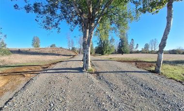 Parcela en Venta en Opciones entre Villarrica, Loncoche y Gorbea