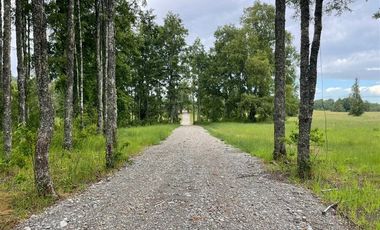 Parcela en Venta en Opciones entre Villarrica, Loncoche y Gorbea