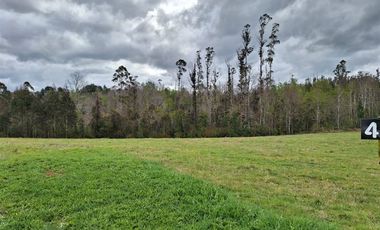 Parcela en Venta en Opciones entre Villarrica, Loncoche y Gorbea