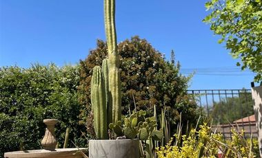 Complejos Turísticos en Arriendo en Tabolango