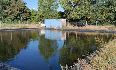 Agrícola en Venta en San Vicente de Tagua Tagua