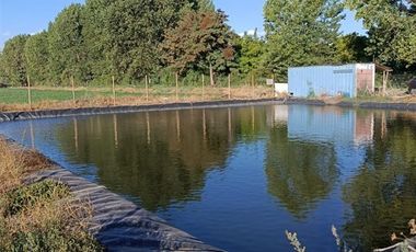 Agrícola en Venta en San Vicente de Tagua Tagua