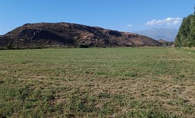 Agrícola en Venta en San Vicente de Tagua Tagua