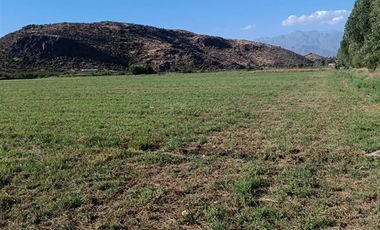 Agrícola en Venta en San Vicente de Tagua Tagua