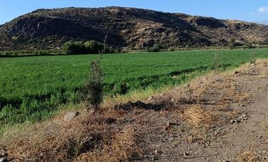 Agrícola en Venta en San Vicente de Tagua Tagua