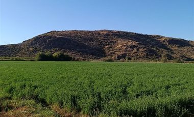 Agrícola en Venta en San Vicente de Tagua Tagua