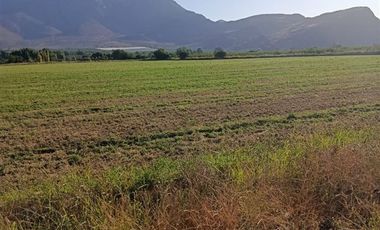 Agrícola en Venta en San Vicente de Tagua Tagua