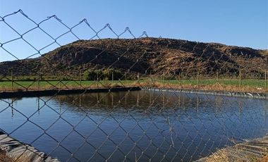 Agrícola en Venta en San Vicente de Tagua Tagua