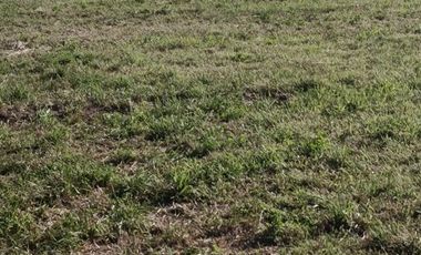 Agrícola en Venta en San Vicente de Tagua Tagua