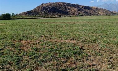Agrícola en Venta en San Vicente de Tagua Tagua