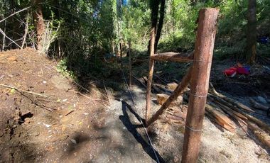 Parcela en Venta en Parque Bosques Nativos Tarahuín