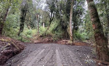 Parcela en Venta en Parque Bosques Nativos Tarahuín