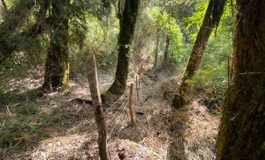 Parcela en Venta en Parque Bosques Nativos Tarahuín
