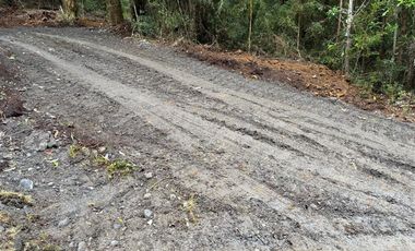 Parcela en Venta en Parque Bosques Nativos Tarahuín