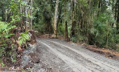 Parcela en Venta en Parque Bosques Nativos Tarahuín