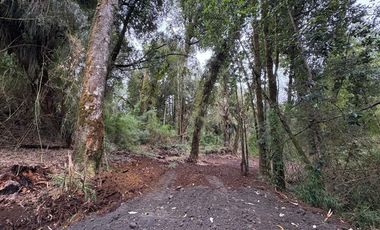 Parcela en Venta en Parque Bosques Nativos Tarahuín
