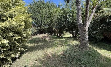 Parcela en Arriendo en Casa con Parcela Crell Puerto Varas de 5D 3B