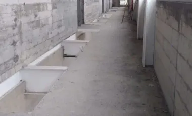 Edificio en renta en Montaña Monarca I, Morelia, Michoacán de Ocampo