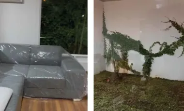 Casa en renta en Paseo del Parque, Morelia, Michoacán de Ocampo