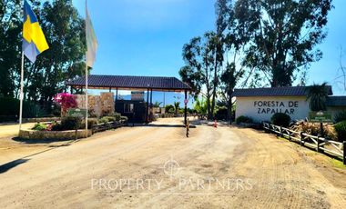 Hermosa Casa de Campo en arriendo anual amoblada en La Foresta - Catapilco
