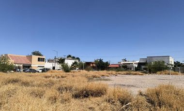 TERRENO EN RENTA EN TORREON RESIDENCIAL TORREON, COAHUILA