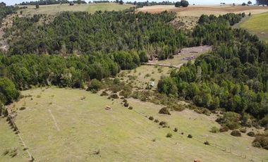 Plots La estaquilla, Puerto Varas
