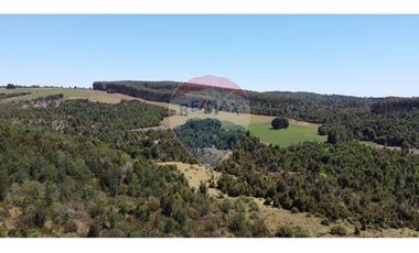 Plots La estaquilla, Puerto Varas