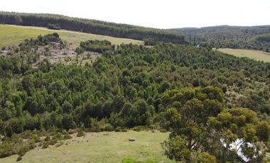 Plots La estaquilla, Puerto Varas