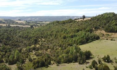 Plots La estaquilla, Puerto Varas