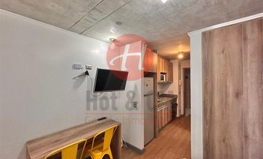 Departamento en Arriendo en Prieto Norte