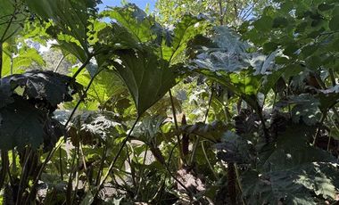 Casa en Venta en Puerto Rosales
