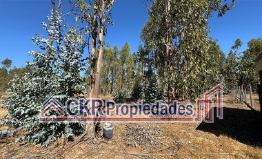 Parcela en Venta en Altos de Litueche, Ruta I-80 G