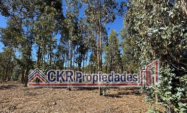 Parcela en Venta en Altos de Litueche, Ruta I-80 G