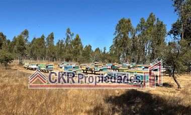 Parcela en Venta en Altos de Litueche, Ruta I-80 G