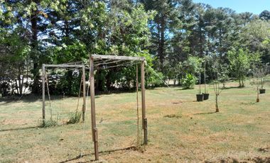 5.000 m2 sobre Rio Lujan. Zonificación E, apto múltiples usos. Venta o alquiler anual o temporal.