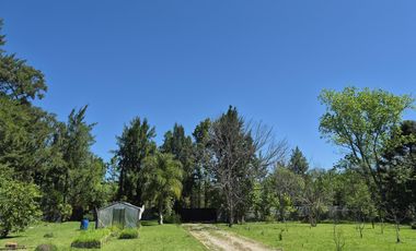 5.000 m2 sobre Rio Lujan. Zonificación E, apto múltiples usos. Venta o alquiler anual o temporal.