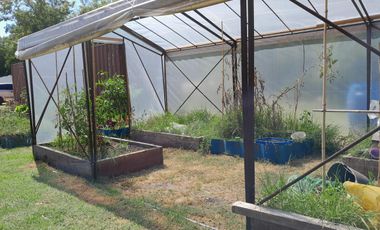 5.000 m2 sobre Rio Lujan. Zonificación E, apto múltiples usos. Venta o alquiler anual o temporal.