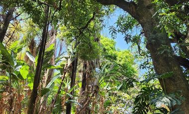 Terreno con casa en venta en Ajijic con frente al Lago de Chapala