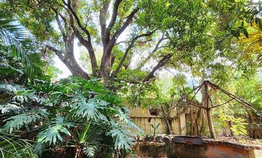 Terreno con casa en venta en Ajijic con frente al Lago de Chapala