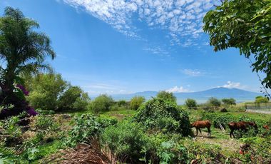 Terreno con casa en venta en Ajijic con frente al Lago de Chapala